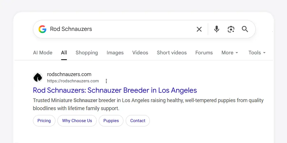 Google search result showing a client site ranking first