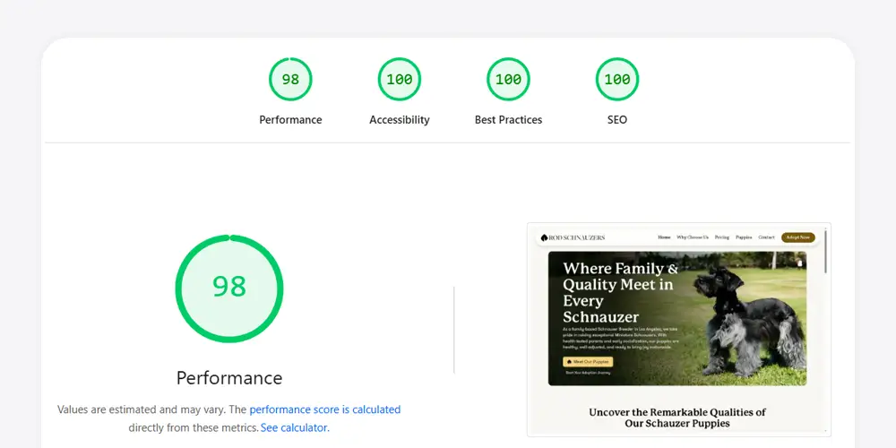 Google PageSpeed report showing a 98 performance score